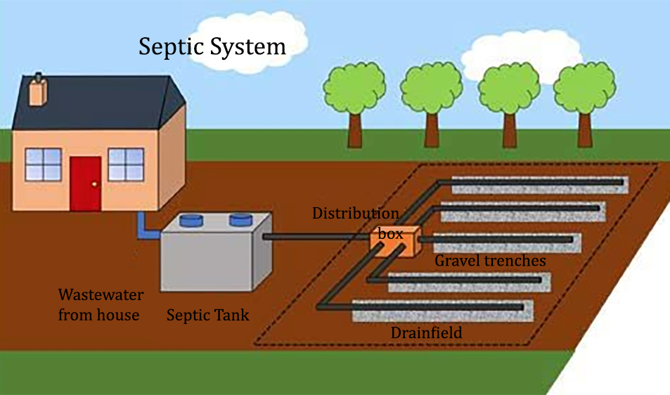 Septic